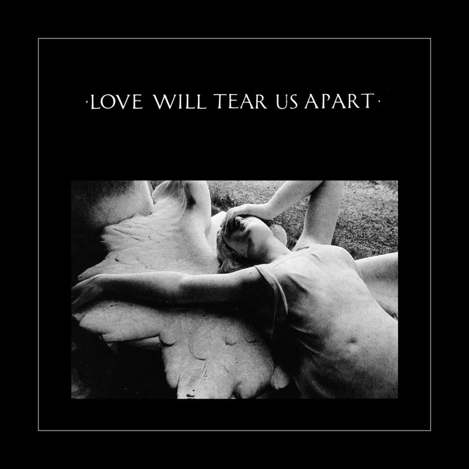 Division love will <b>tear</b> us <b>apart</b>.