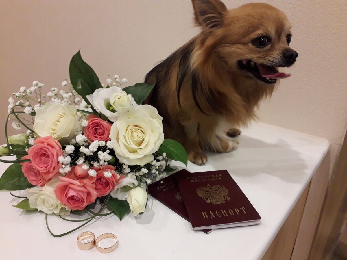 Фото из личного архива 