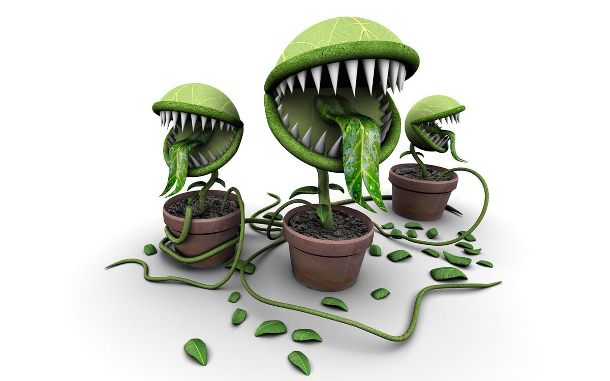 Источник фото: wp.com