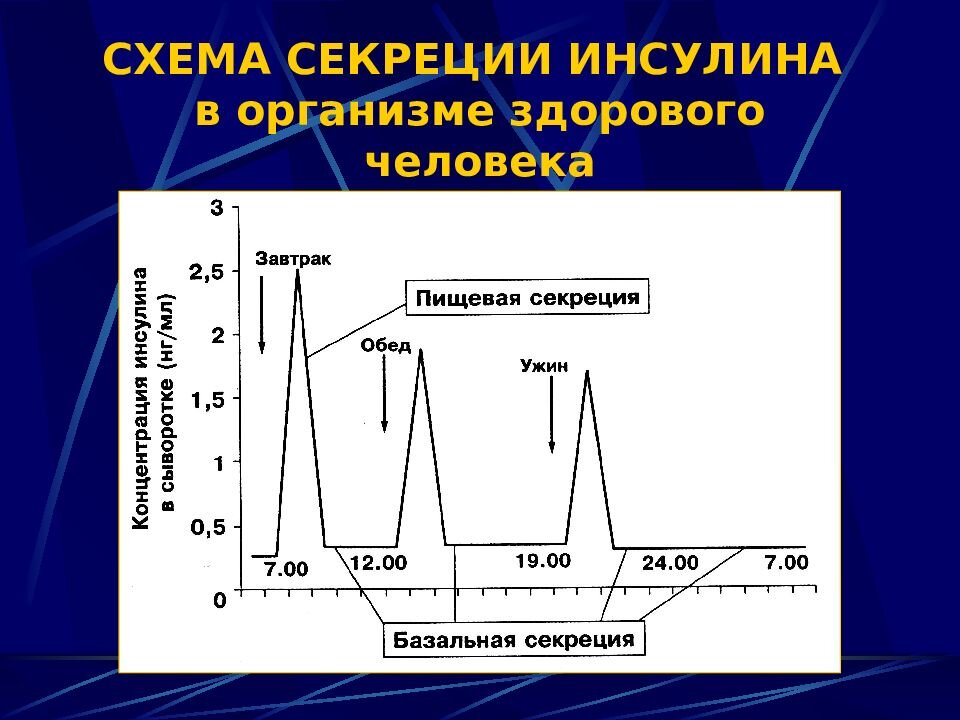 Инсулин в норме а глюкоза повышена. Базальная секреция инсулина. Схема выработки инсулина в организме. Фазы секреции инсулина. Прандиальная секреция инсулина.