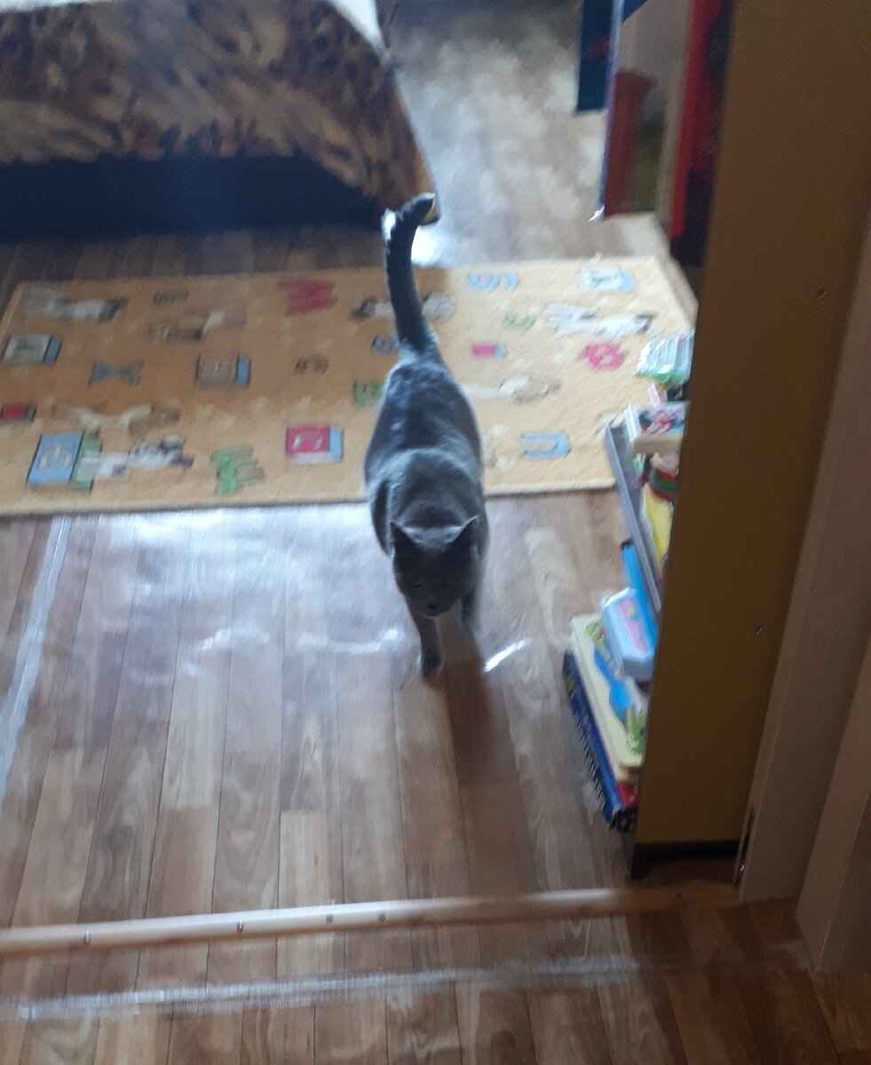 вот он идет, идет, идет... мимо, короче, идет