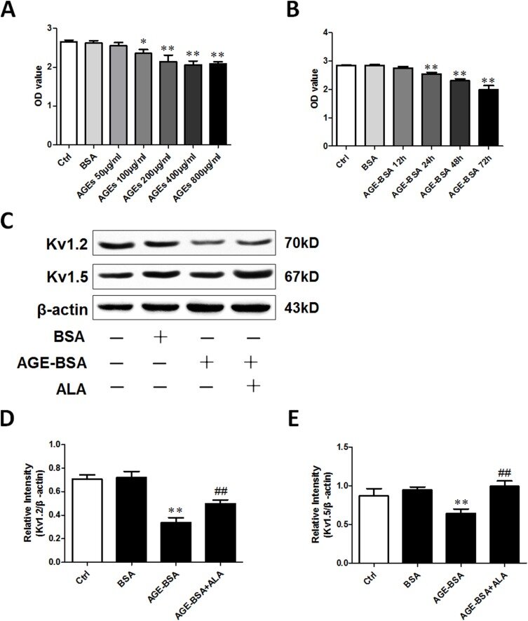 The Sourse: https://www.sciencedirect.com/science/article/pii/S0753332219333864