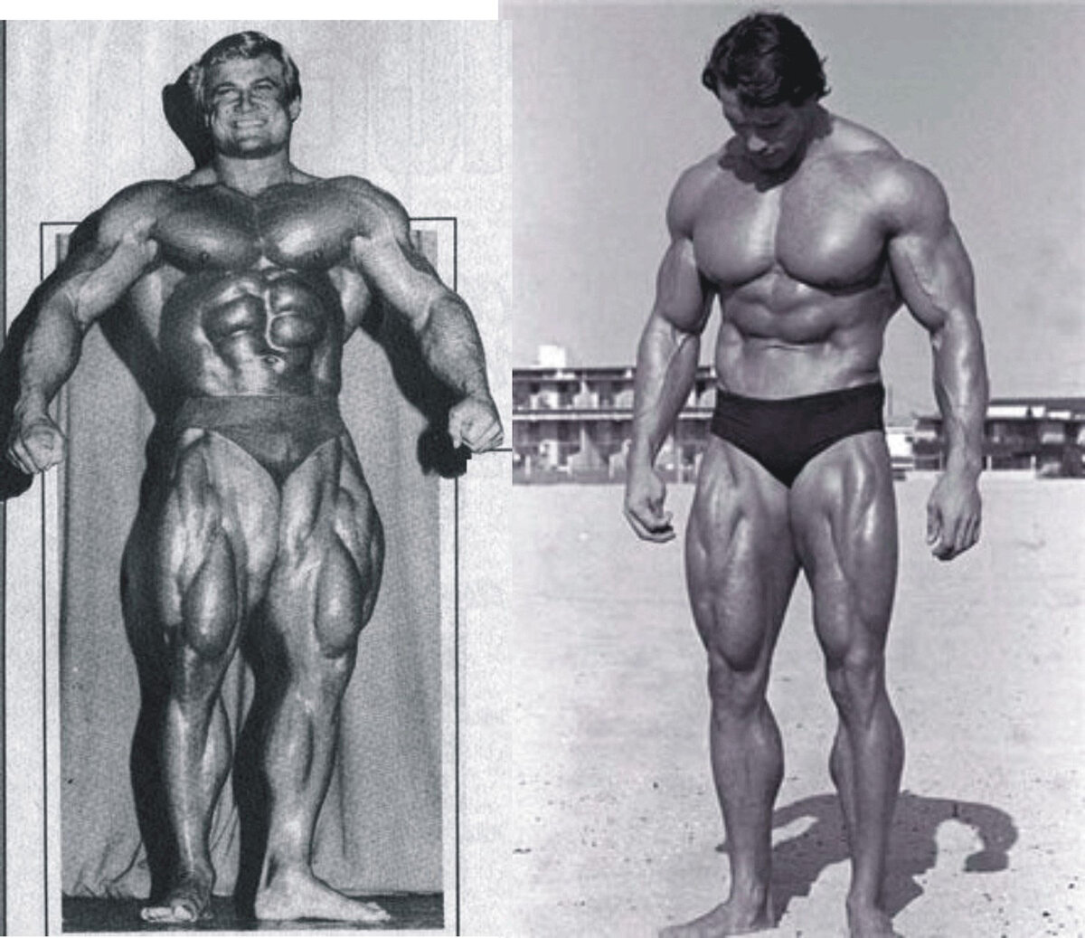 Сравнение мышц ног легенды культуризма Арнольда Шварценеггера и Тома Платца