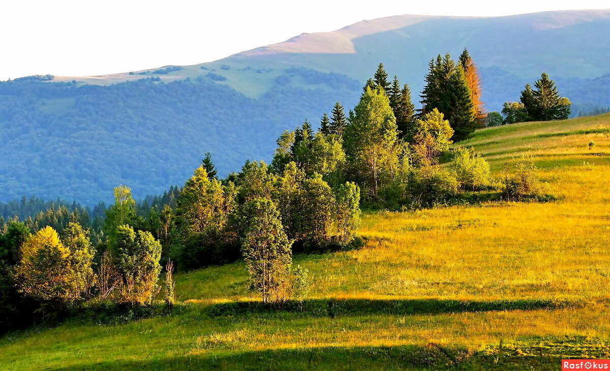 Северная Украина природа