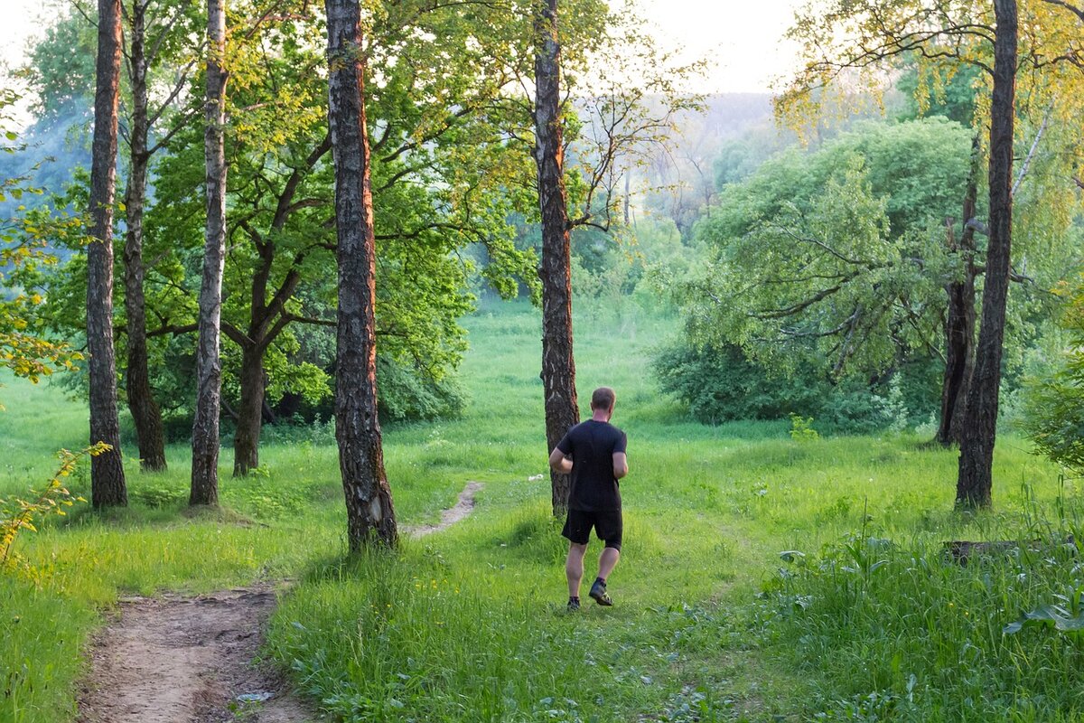https://cdn.pixabay.com/photo/2016/08/02/01/58/running-1562541_1280.jpg