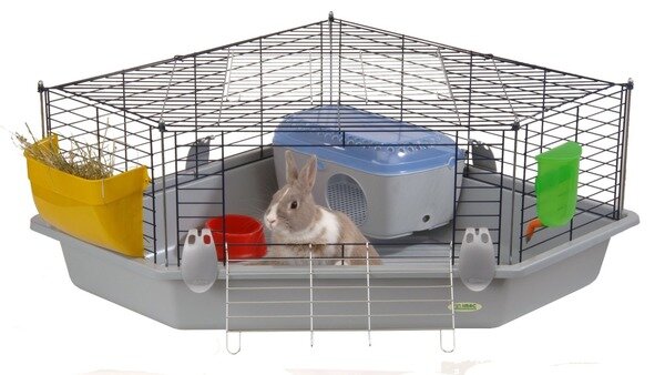 http://zootrade55.ru/image/catalog/%D0%A1%D1%82%D0%B0%D1%82%D1%8C%D0%B8/%D0%B4%D0%B5%D0%BA%D0%BE%D1%80%D0%B0%D1%82%D0%B8%D0%B2%D0%BD%D1%8B%D0%B9%20%D0%BA%D1%80%D0%BE%D0%BB%D0%B8%D0%BA.jpg