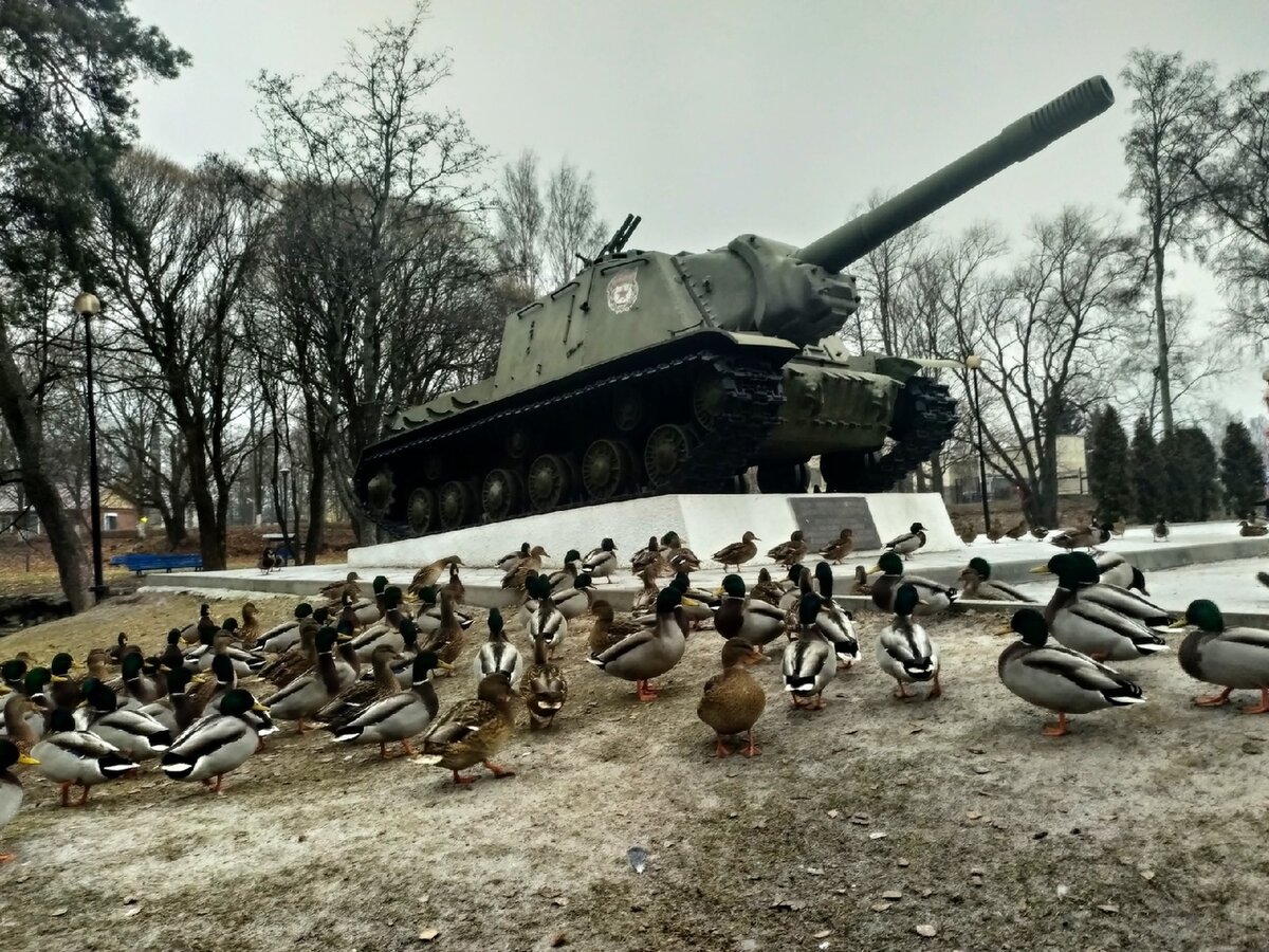 Три кирхи в Ленобласти (куда можно прокатиться)