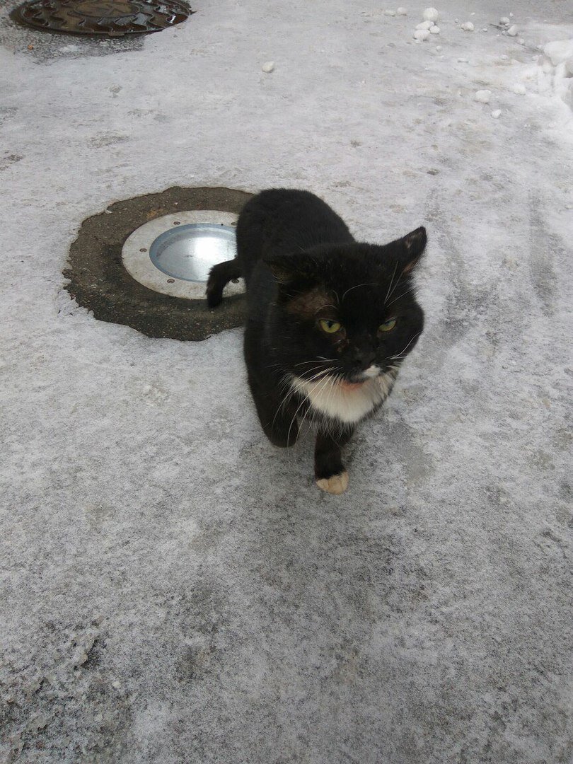 Могучая Кучка.