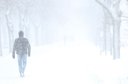 Возвращение домой