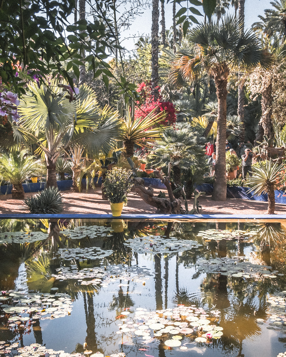 Сад Мажорель