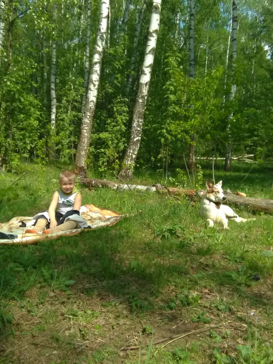 Алиса и маленький хозяин