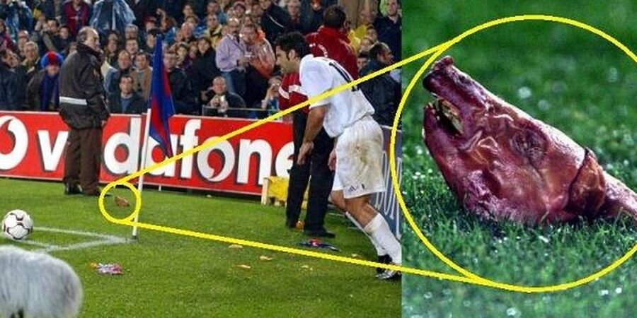 Так, Луиша Фигу встречали каталонские болельщики - свиной головой. 