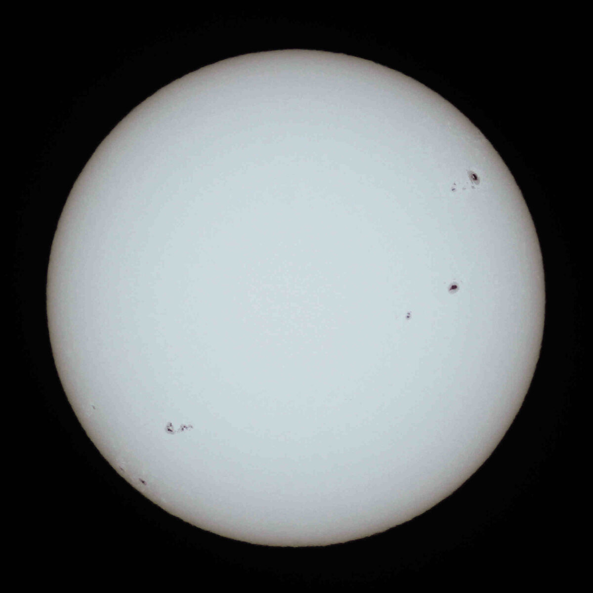 Солнце в видимом свете. Автор: Geoff Elston - Society for Popular Astronomy, Solar section