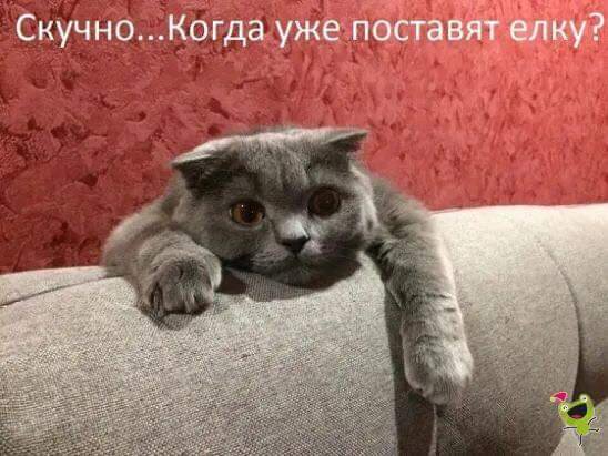 фото использовано в качестве иллюстрации. Источник "Яндекс.Картинки"