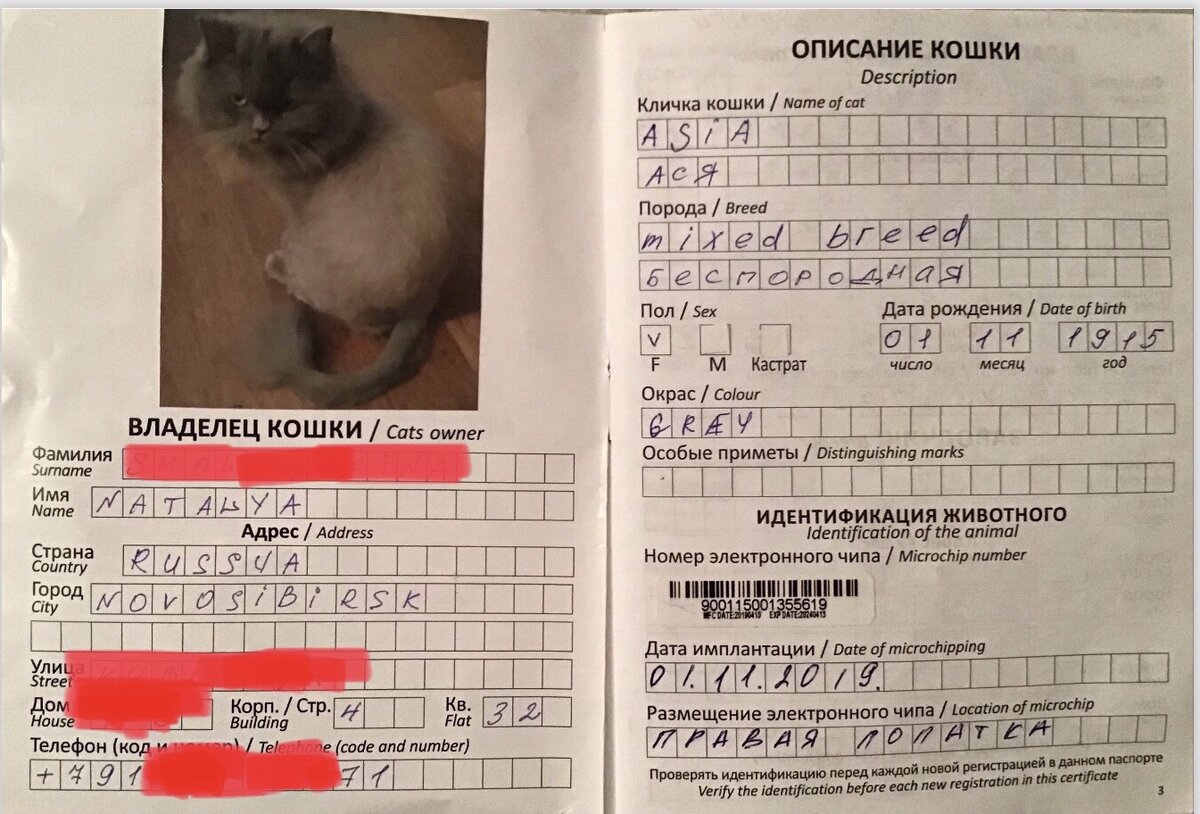 Паспорт