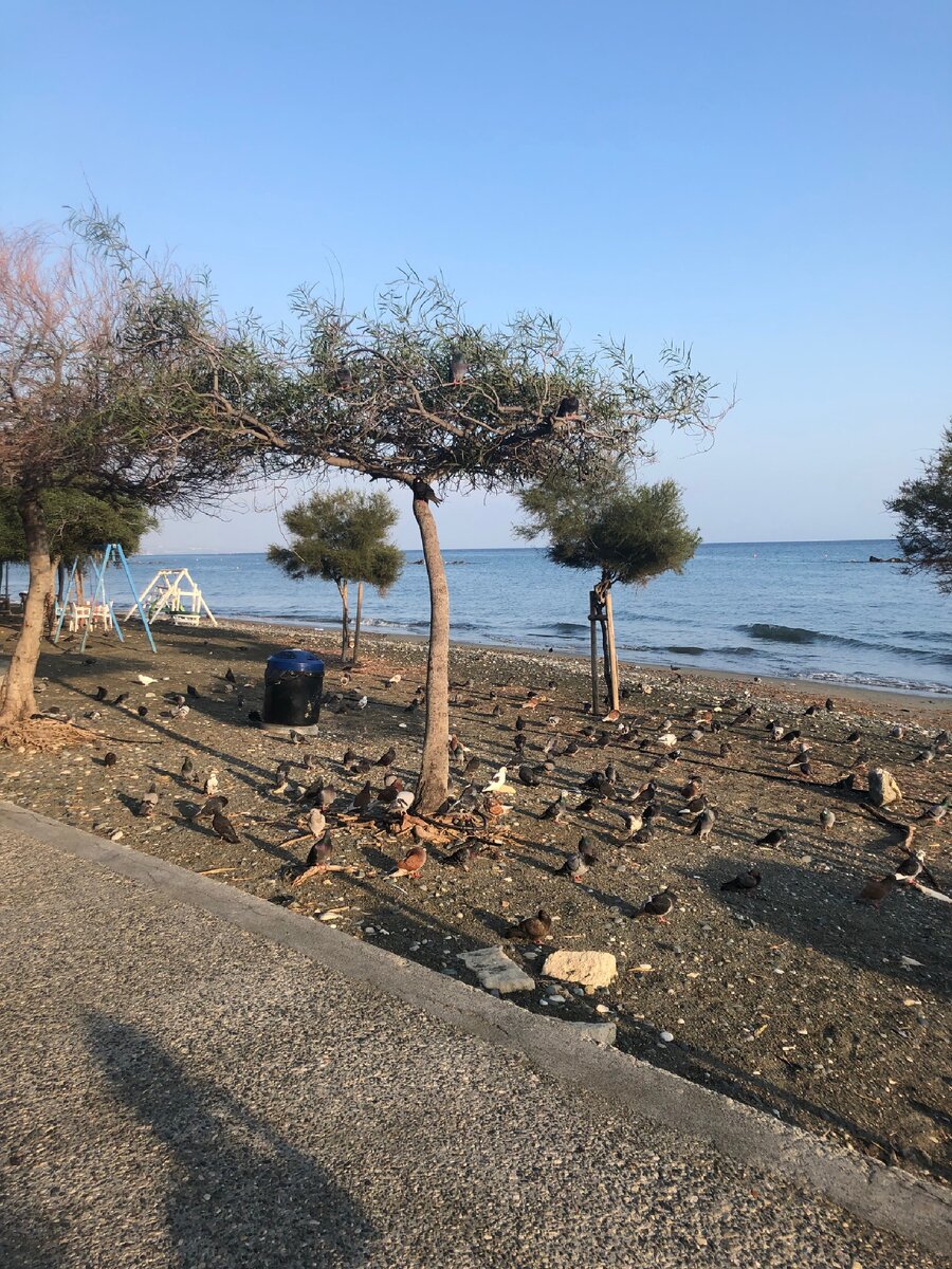 Набережная Лимасола.