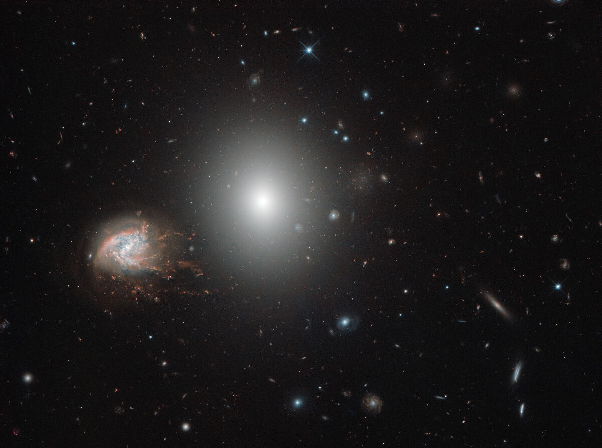 Фото 2018 года с телескопа Hubble. Скопление Волос Вероники, или скопление Кома.