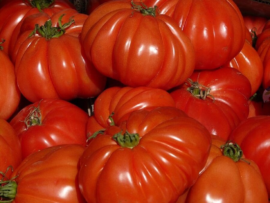 Алгоритм выбора семян томатов у каждого свой, предлагаю универсальный ( для опытных садоводов и новичков)
