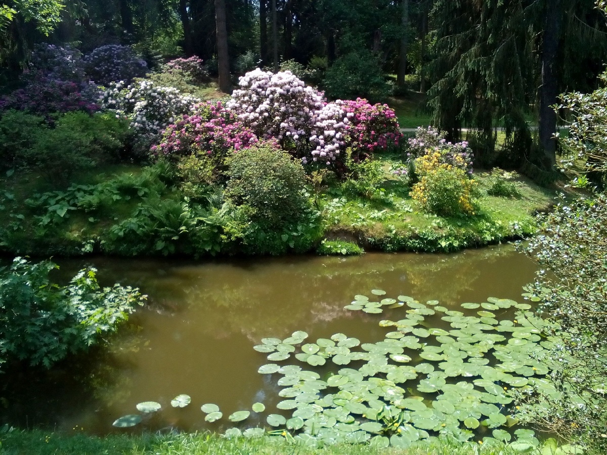 В парке Пругонице у Праги