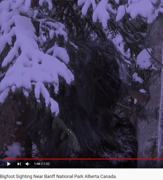 YouTube / Sonny Vator