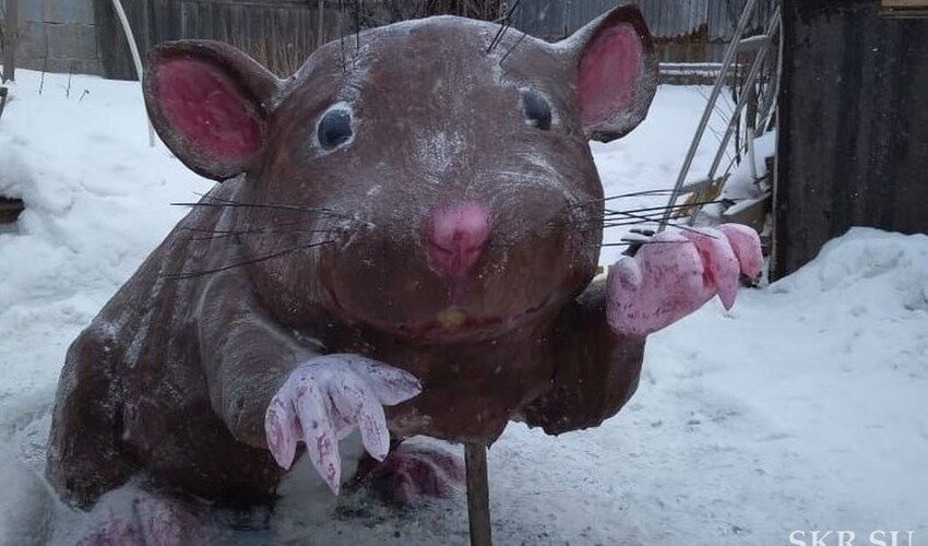 Фото: Владимир Манчук