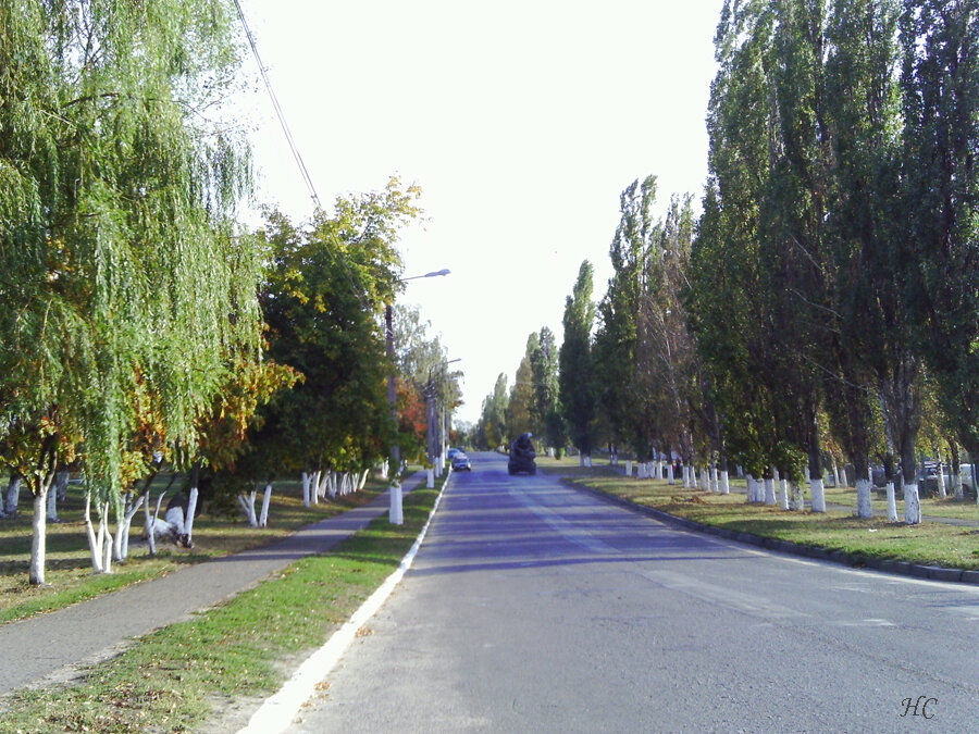 Фото Нины Стрелковой.