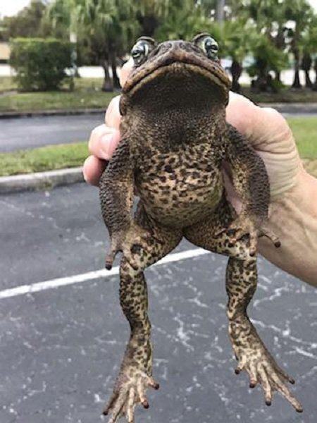 фото из открытого источника