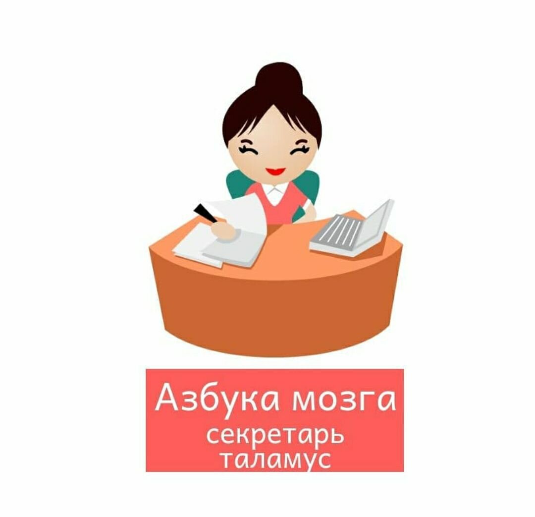 Документовед рисунок