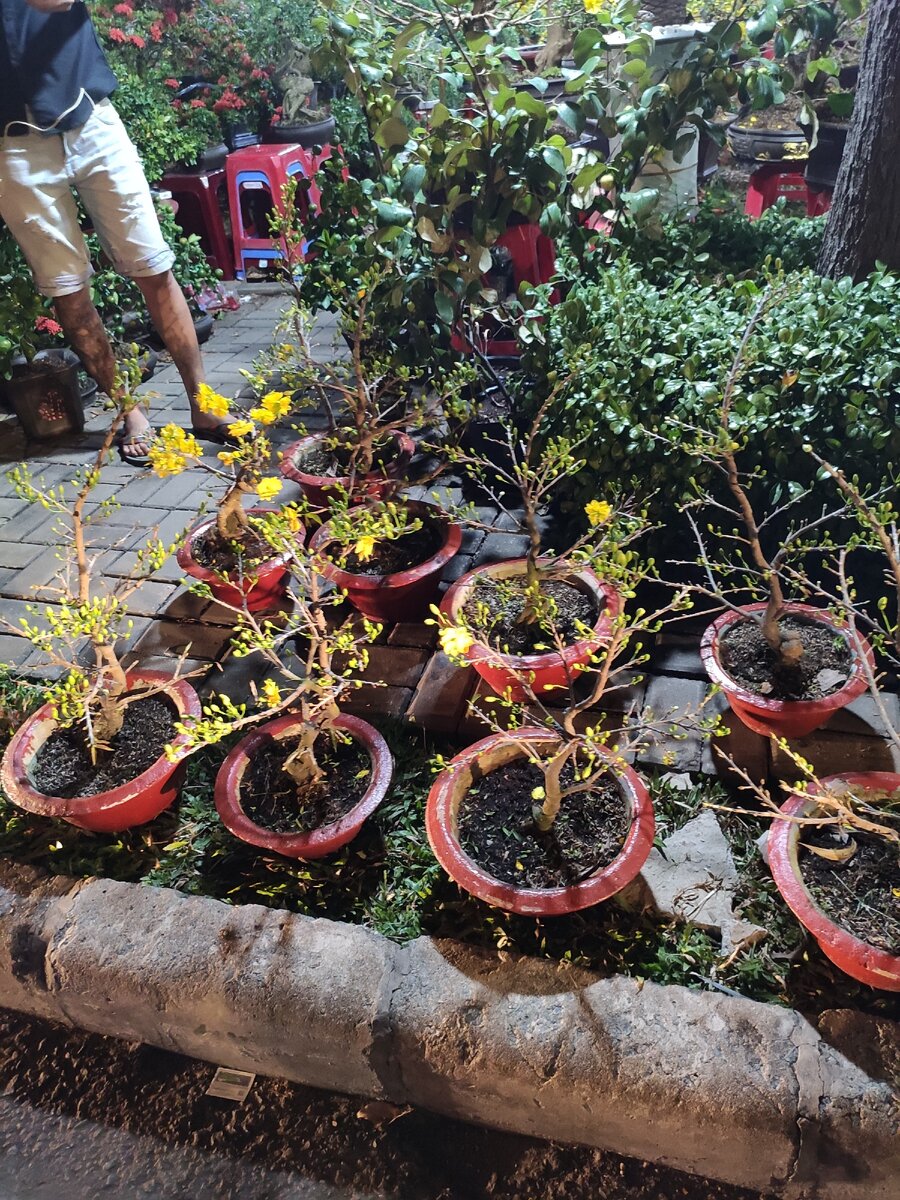 Такие крохи 400к (1200 рублей).