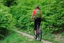 вот такая тропинка лесная и была. фото для иллюстрации взята из открытых источников