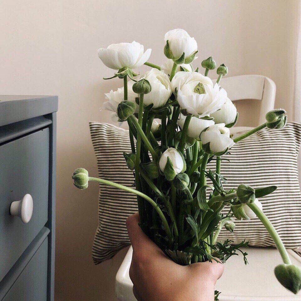 Источник: instagram.com                              Автор: @chalkwhitearrow