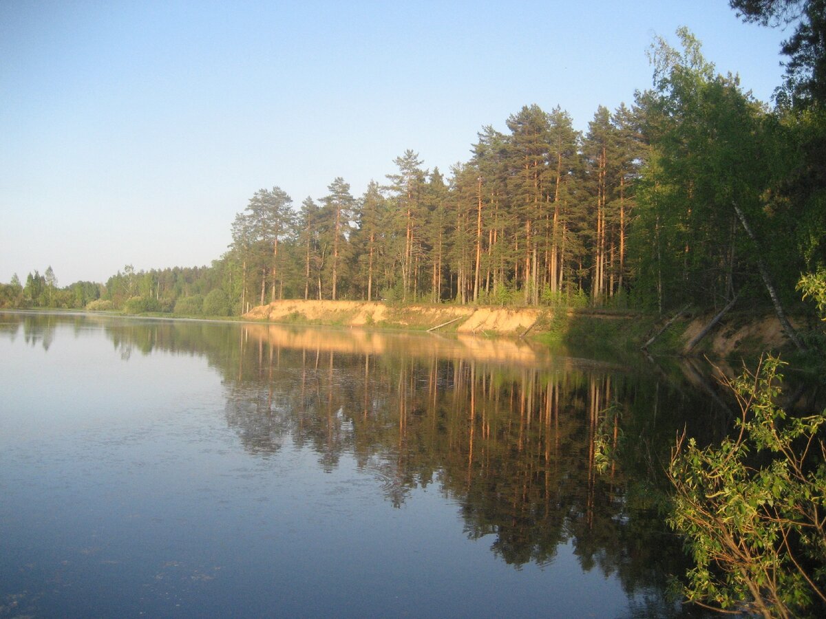 Река Реня Весьегонский район