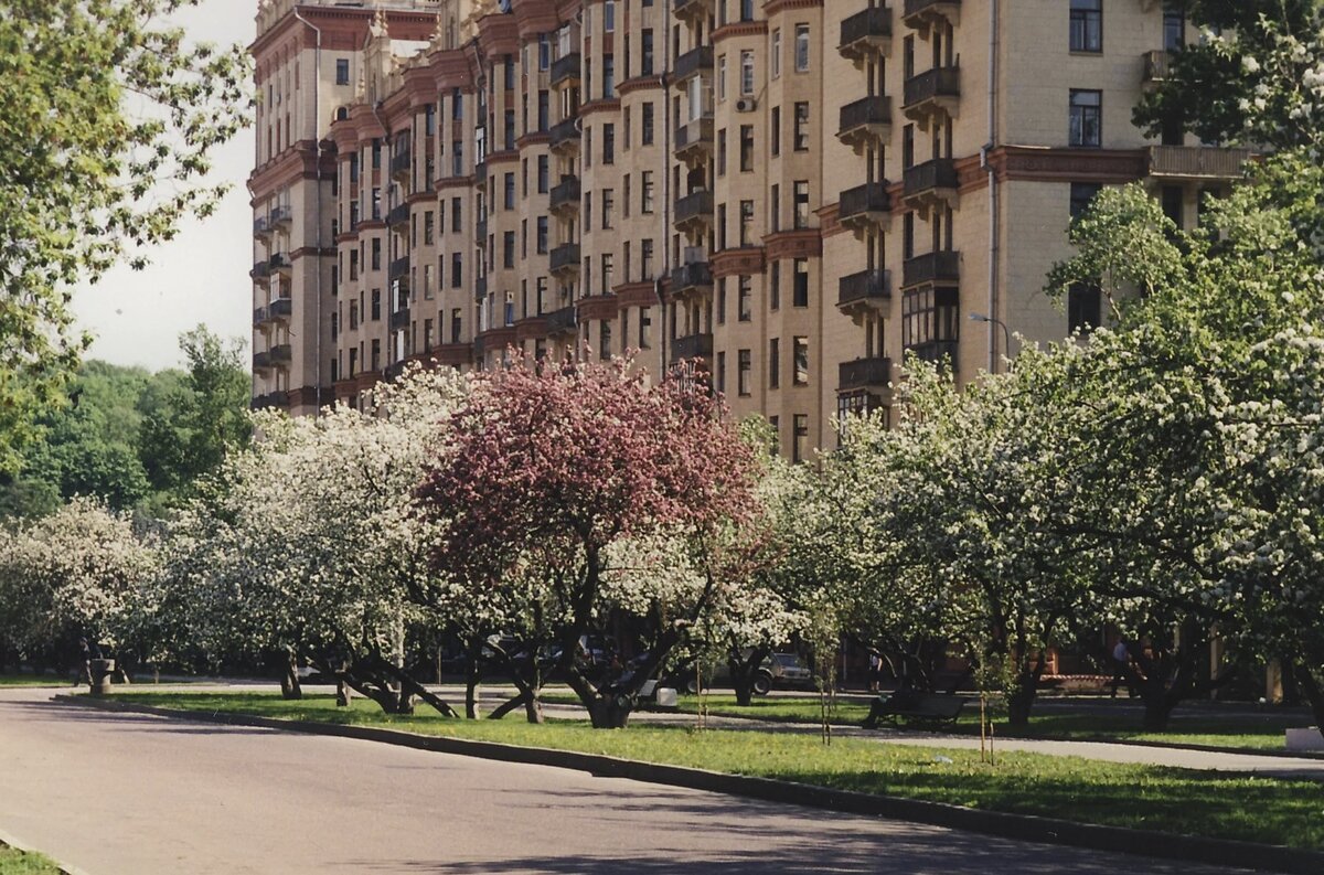 москва ул трофимова старые