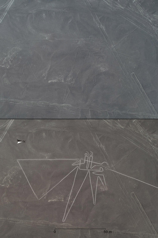 Изображение, показывающее одну из вновь идентифицированных линий. Изображение предоставлено: Университет Ямагата.