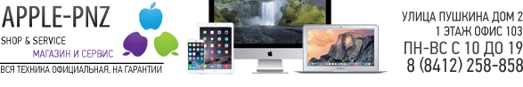 APPLE-PNZ SHOP & SERVICE