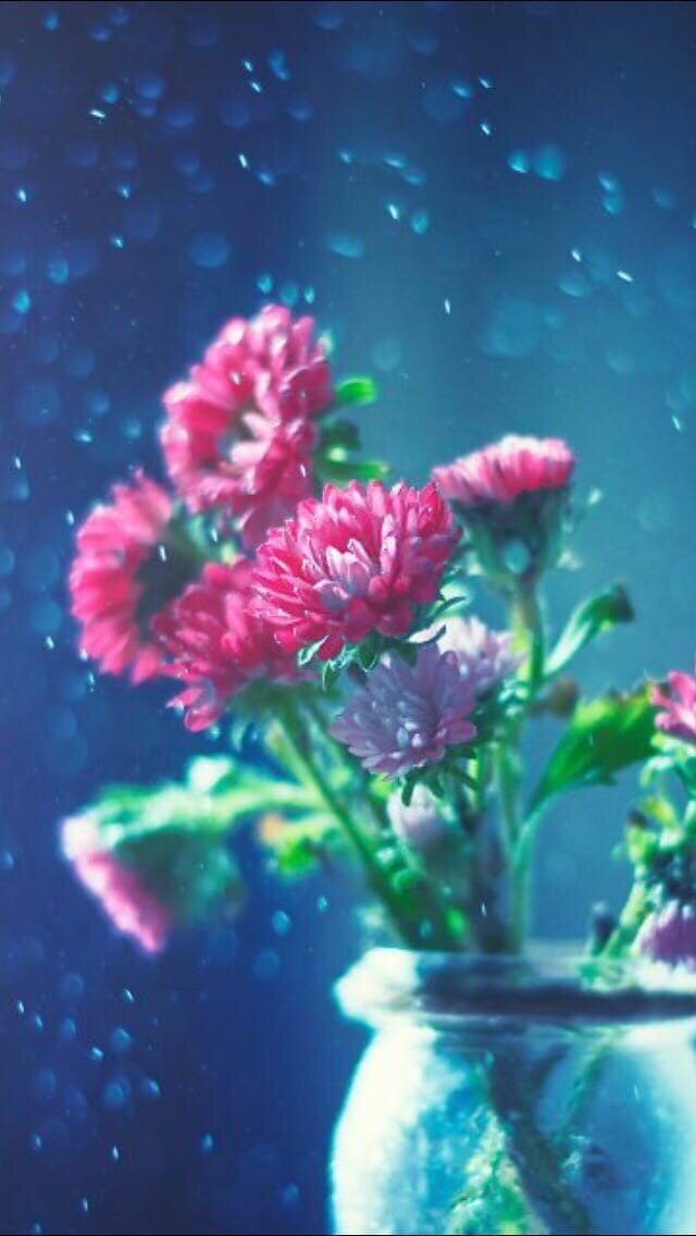 С просторов интернета