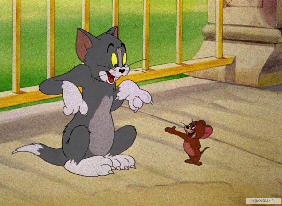 Фото из интернета 