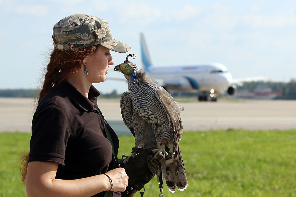 Орнитолог Ника Рыжова-Аленичева со своей подопечной Сильвой.