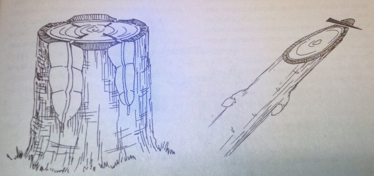 Рисунок  1.  (рисунки взяты из Энциклопедии   умного дачника)   Рисунок 2.                                                                                                                                                                             