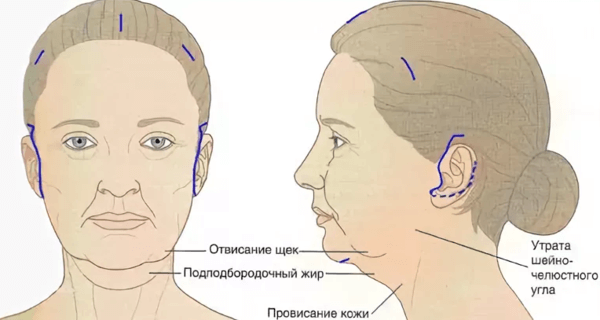 Правильные упражнения, которые помогут убрать второй подбородок | Online  Review | Дзен