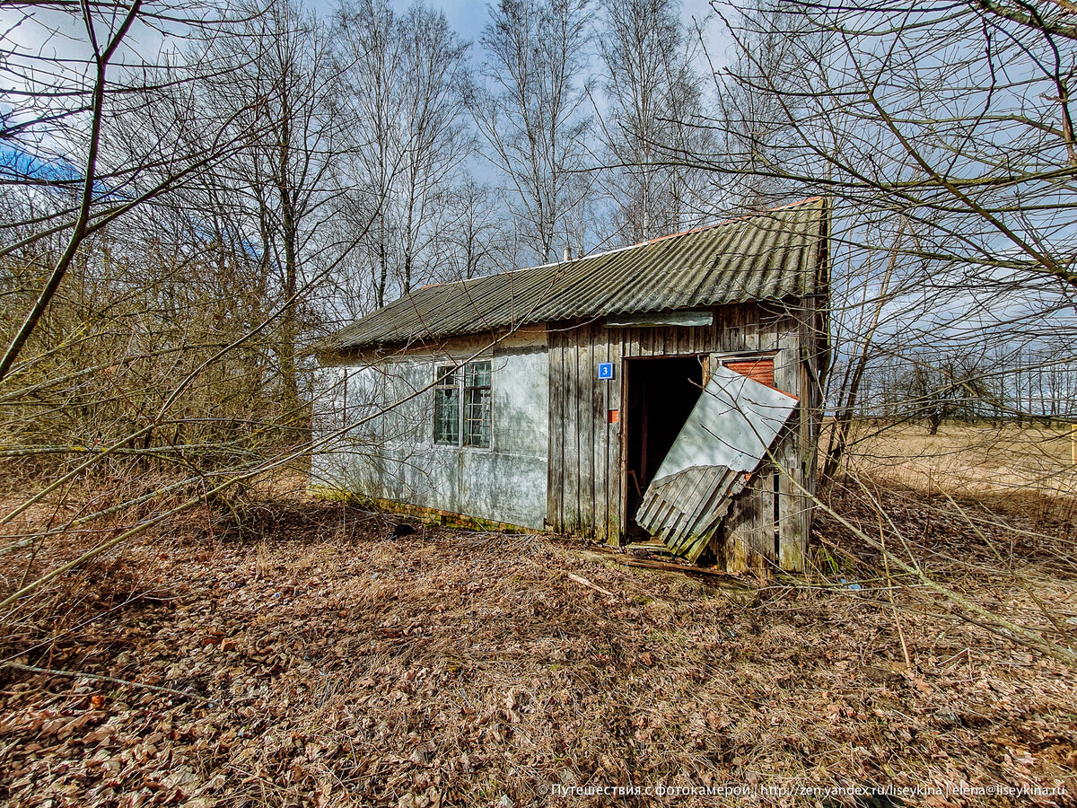 🏚Брошенный сельский дом с решетками на окнах. Пролезла внутрь и посмотрела  что там | Путешествия с фотокамерой | Дзен