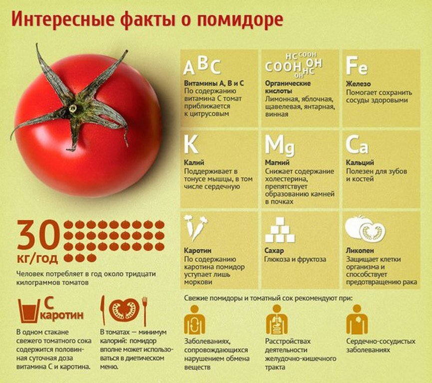 Полезные свойства ПОМИДОРЫ (ТОМАТЫ) ЖАРЕНЫЕ ПО 2-56