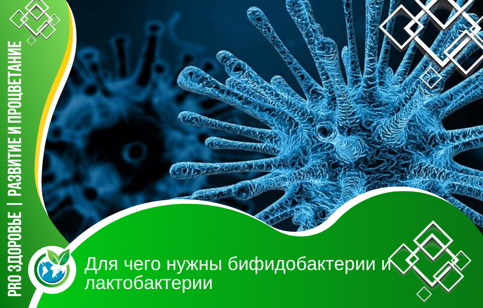 Фото: https://pixabay.com/illustrations/virus-microscope-infection-disease-4030721/