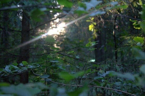 Фото https://cs8.pikabu.ru/post_img/2018/05/03/6/1525339913177942798.jpg…

