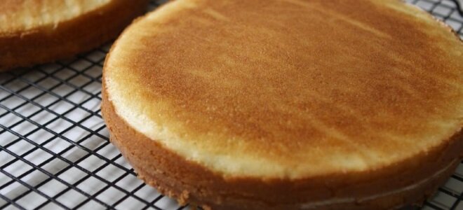 Простой рецепт бисквитного торта в домашних условиях