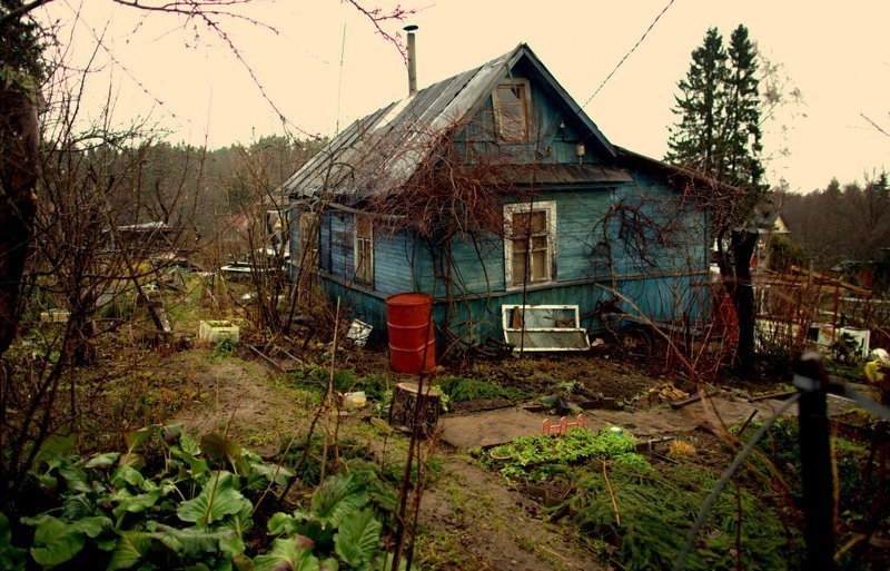Фото взято из открытых источников. Яндекс. Картинки.