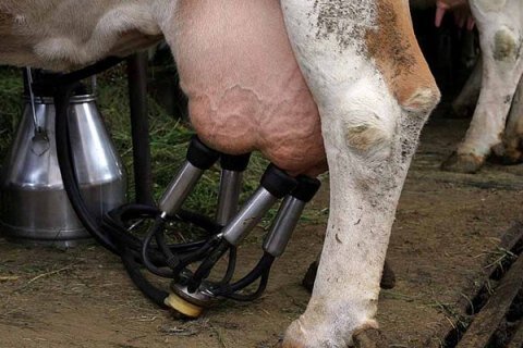 фото из интернета