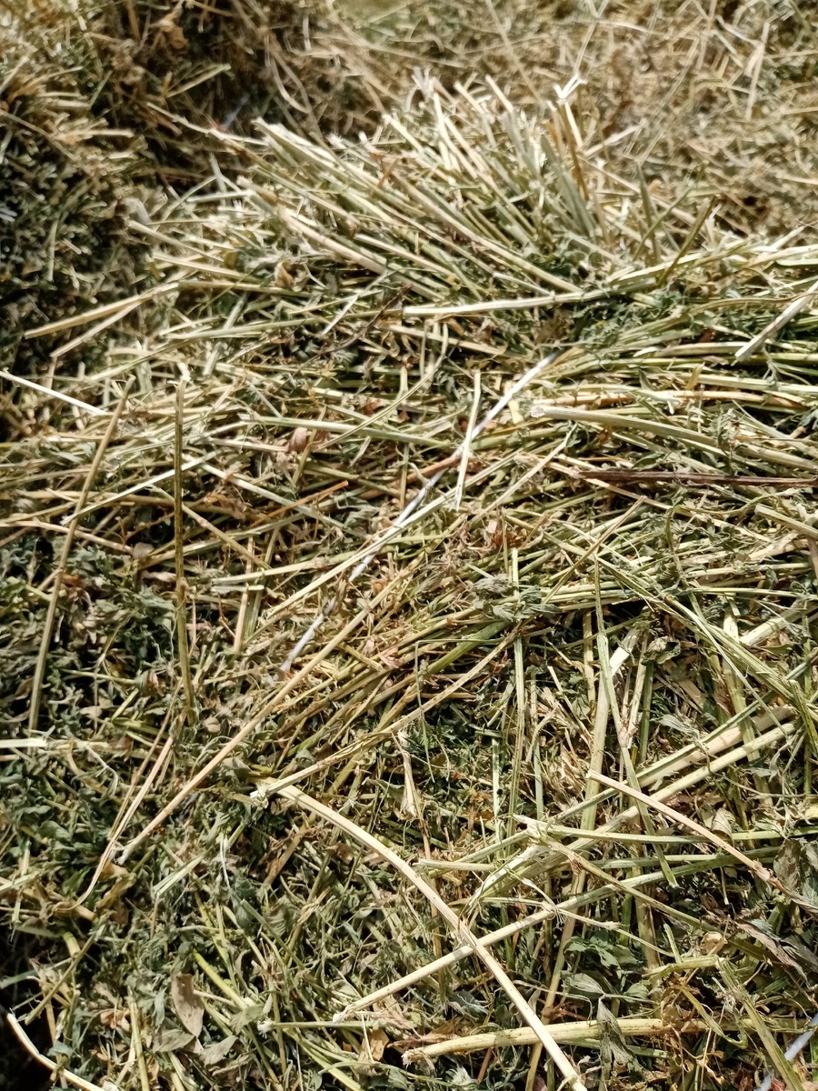 Фото личное