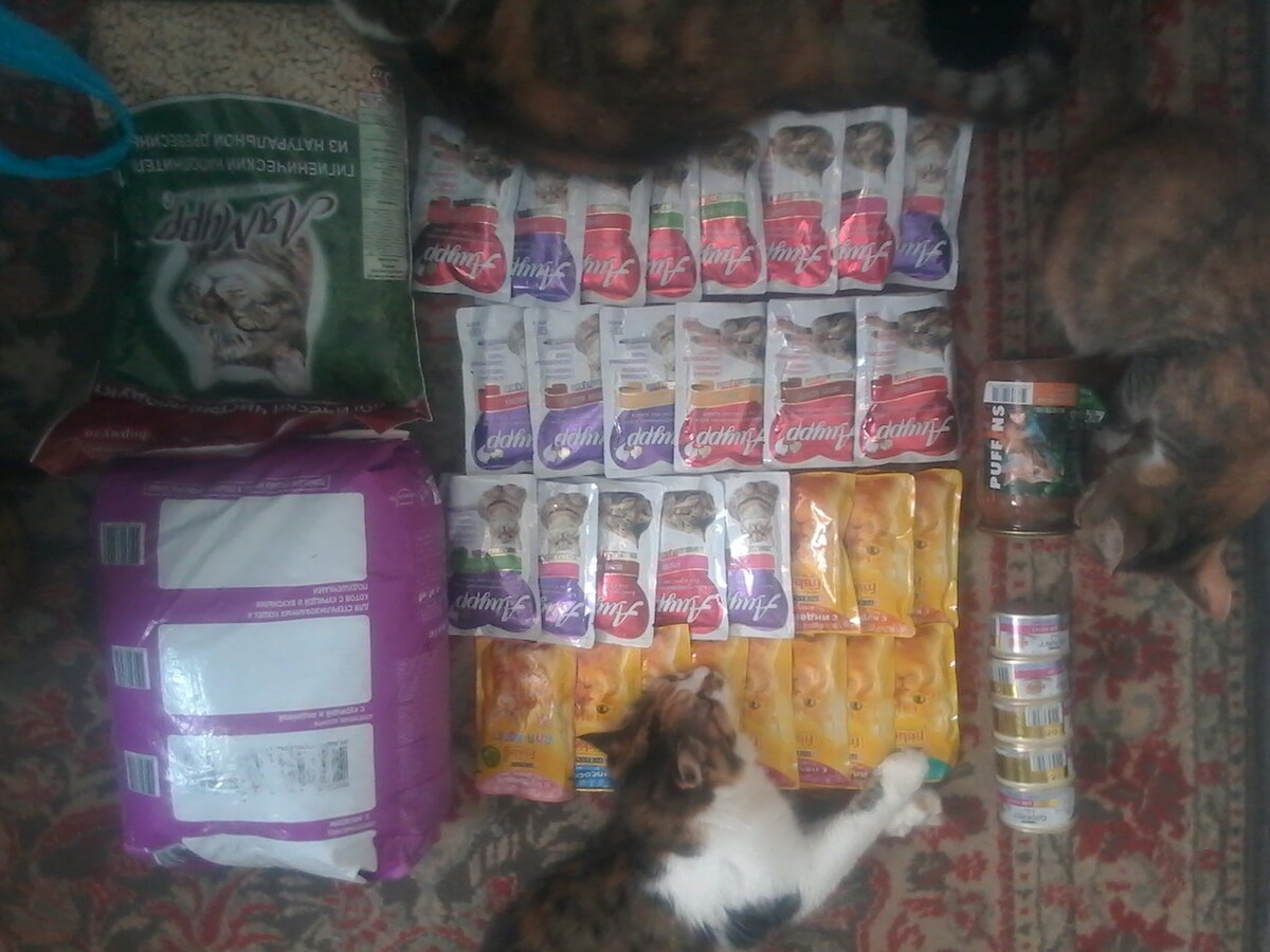 Охраняют свое богатство