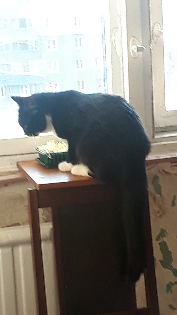 Секунд пять мы смотрели на друг друга, причем мысли мои были о том. а прорастет ли травка.